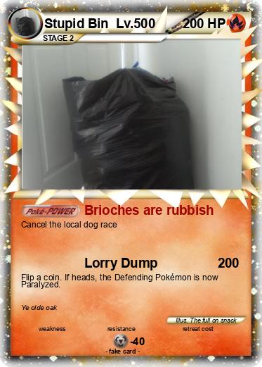 Pokemon Stupid Bin  Lv.500