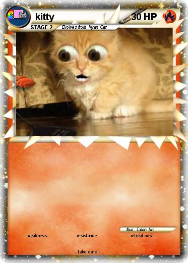 Pokemon kitty