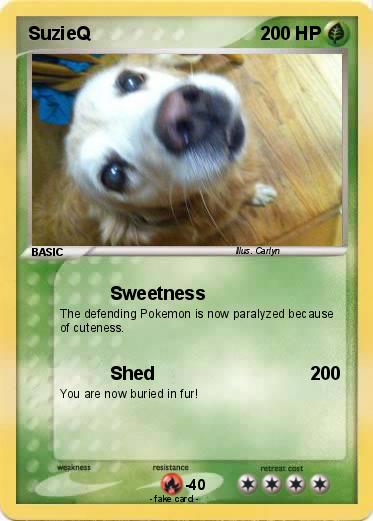Pokemon SuzieQ