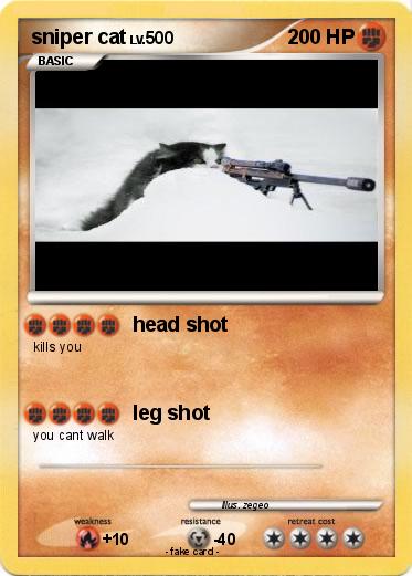 Pokemon sniper cat