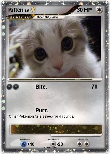 Pokemon Kitten