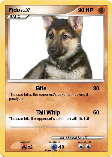 Pokemon Fido
