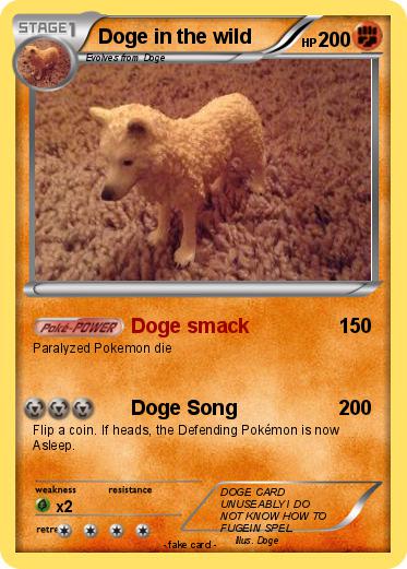Pokemon Doge in the wild