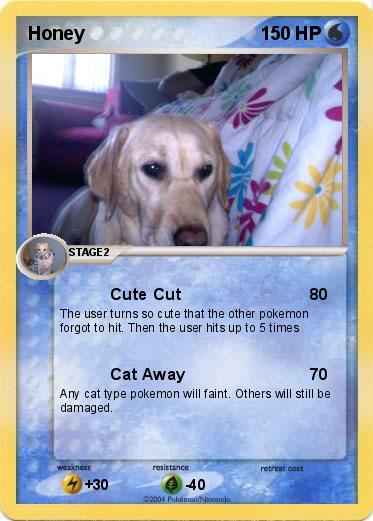 Pokemon Honey