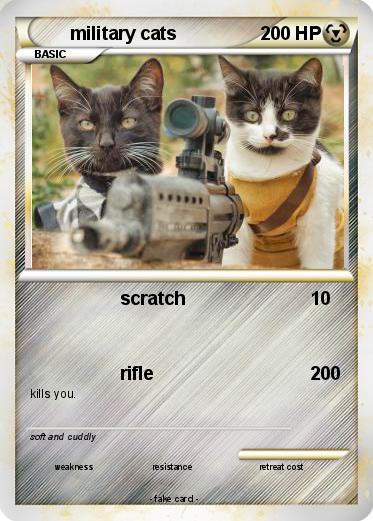 Pokemon military cats