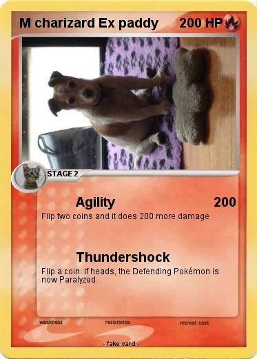 Pokemon M charizard Ex paddy