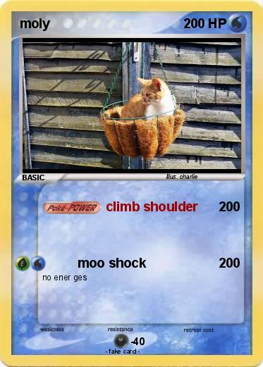 Pokemon moly
