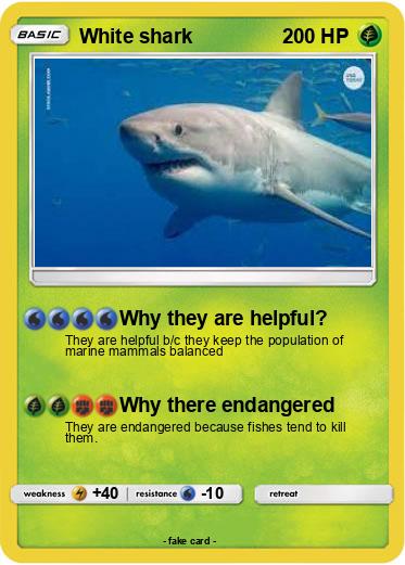 Pokemon White shark
