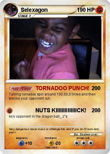Pokemon Selexagon