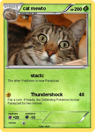 Pokemon cat mewto