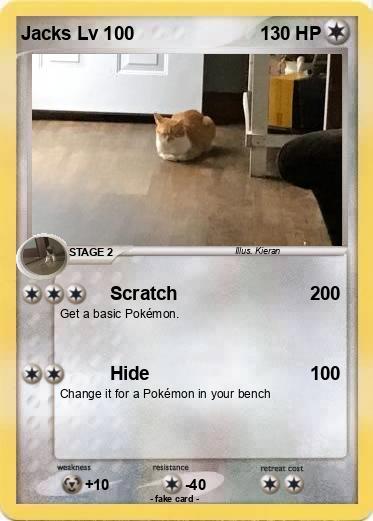 Pokemon Jacks Lv 100