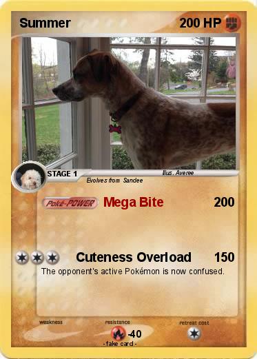 Pokemon Summer