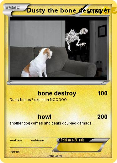 Pokemon Dusty the bone destroyer