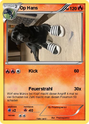 Pokemon Op Hans