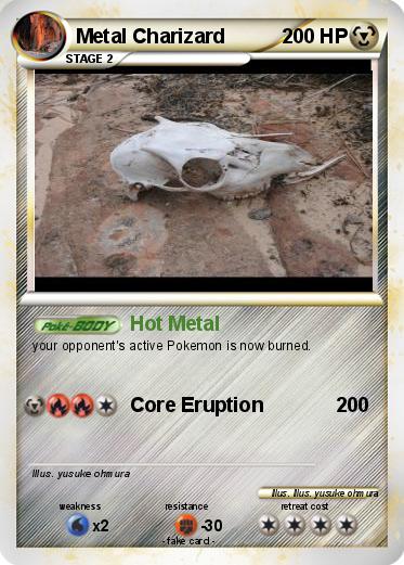 Pokemon Metal Charizard