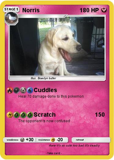 Pokemon Norris