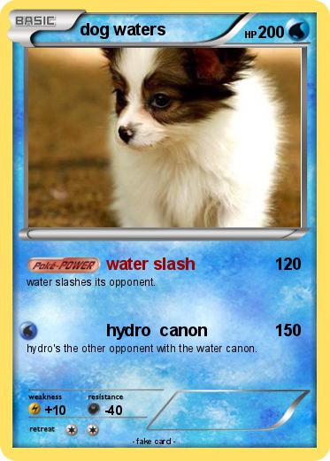 Pokemon dog waters