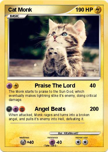 Pokemon Cat Monk