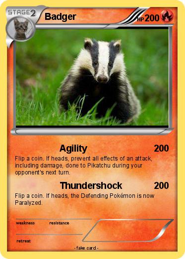Pokemon Badger