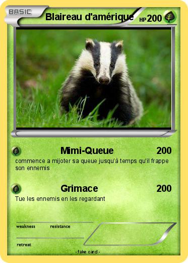 Pokemon Blaireau d'amérique