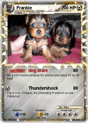 Pokemon Frankie