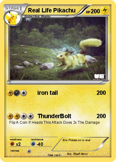 Pokemon Real Life Pikachu