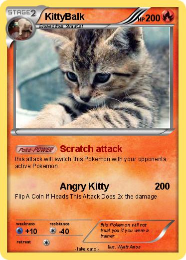 Pokemon KittyBalk