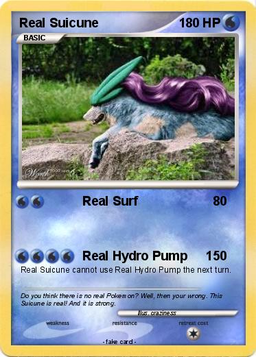 Pokemon Real Suicune
