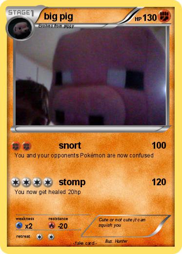 Pokemon big pig