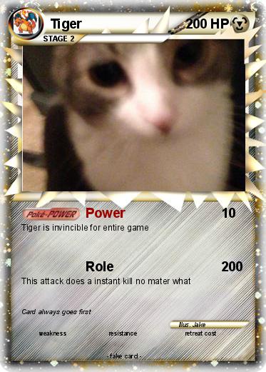 Pokemon Tiger