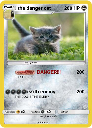 Pokemon the danger cat