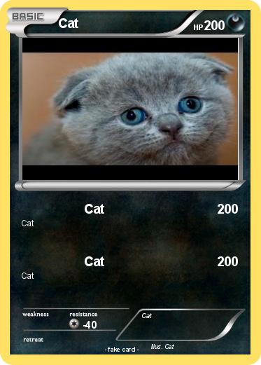 Pokemon Cat