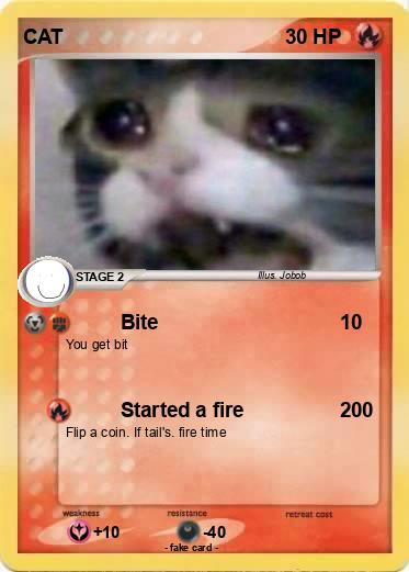 Pokemon CAT