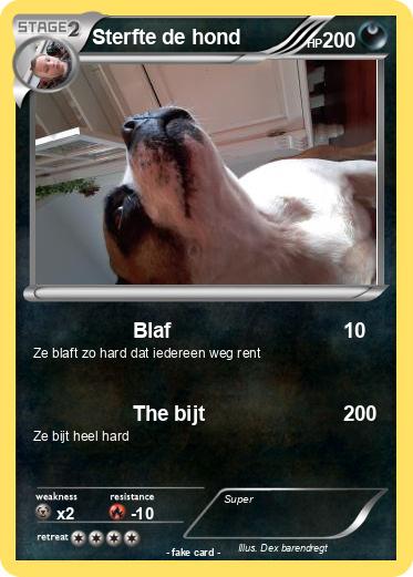 Pokemon Sterfte de hond