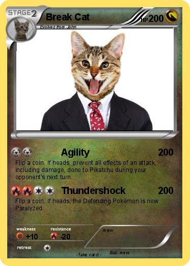 Pokemon Break Cat