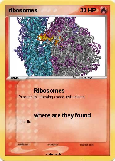 Pokemon ribosomes
