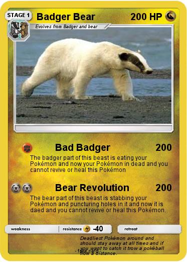 Pokemon Badger Bear