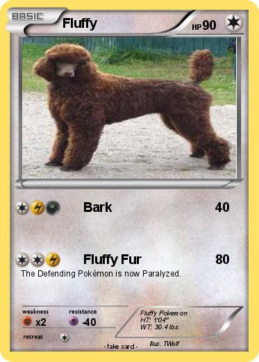 Pokemon Fluffy