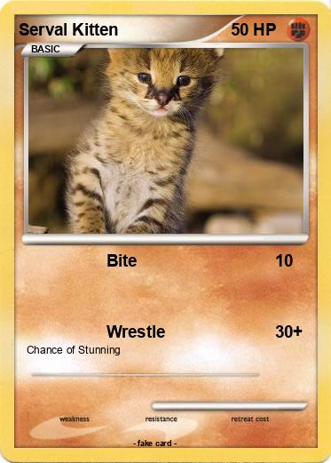 Pokemon Serval Kitten