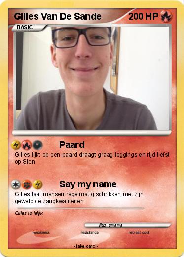 Pokemon Gilles Van De Sande