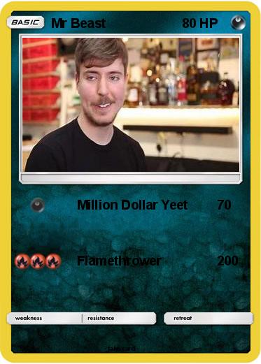 Pokemon Mr Beast