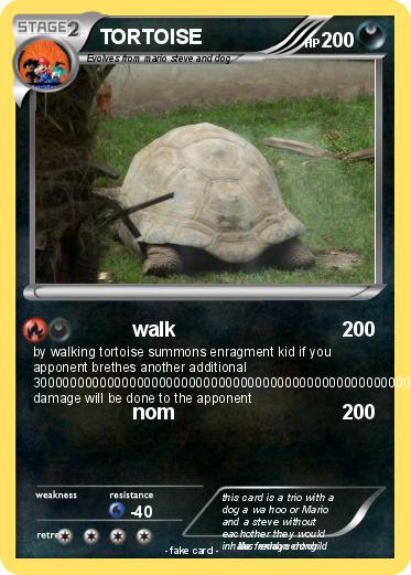 Pokemon TORTOISE