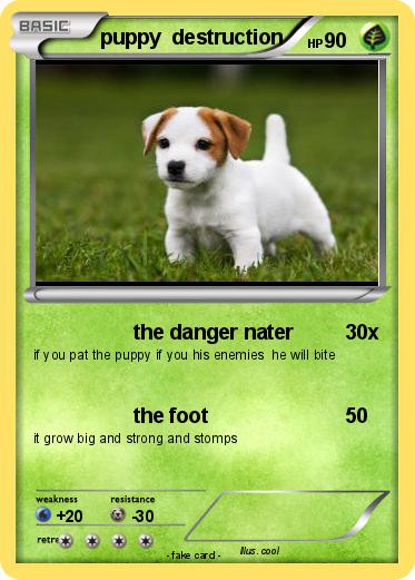 Pokemon puppy mega EX