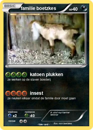 Pokemon familie boetzkes