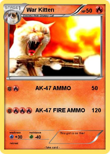 Pokemon War Kitten