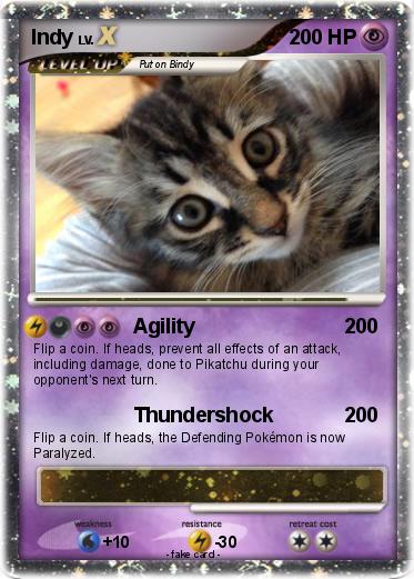 Pokemon Indy