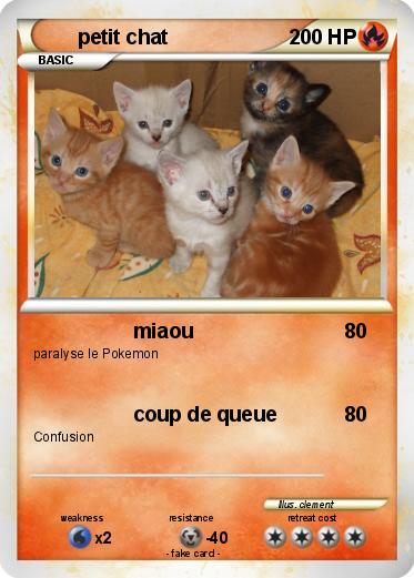 Pokemon petit chat
