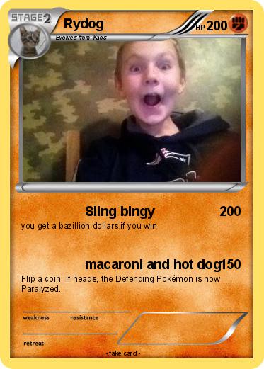 Pokemon Rydog