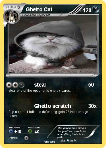 Pokemon Ghetto Cat