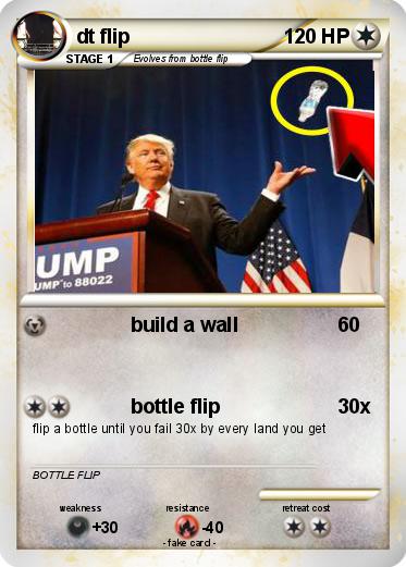Pokemon dt flip